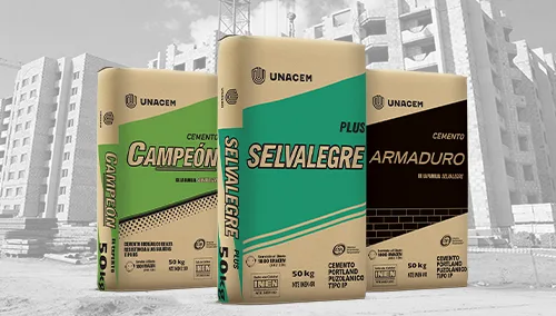 CEMENTO SELVALEGRE SACOS 1